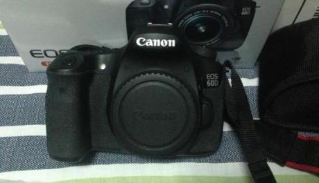 Canon EOS 60d with two lenses and lowepro bag photo